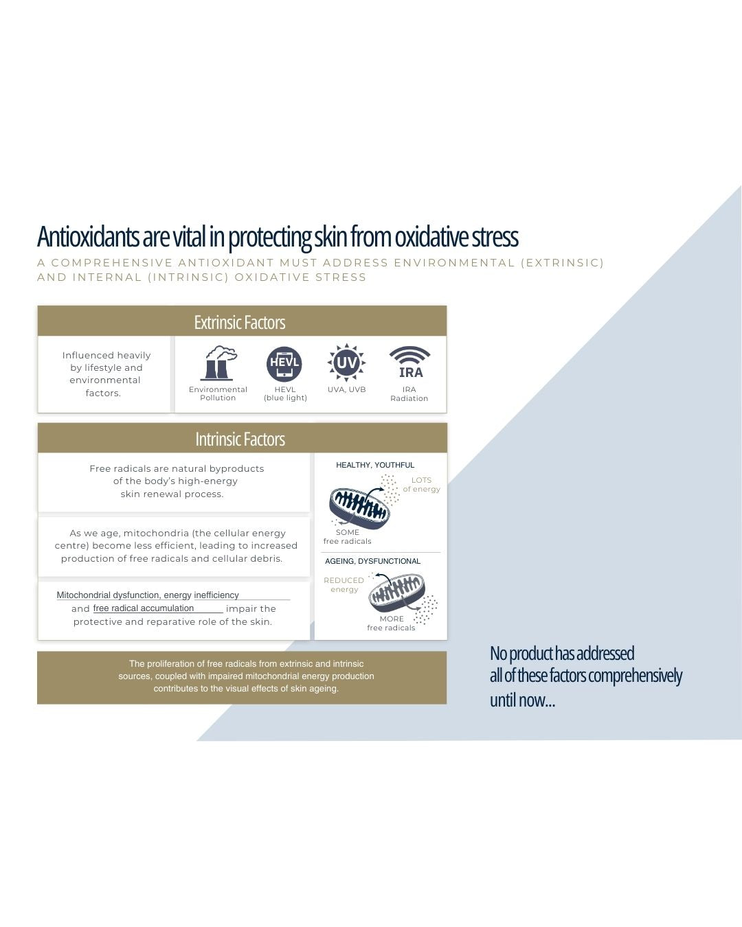 SkinBetter Science Alto Advanced Defense & Repair Serum