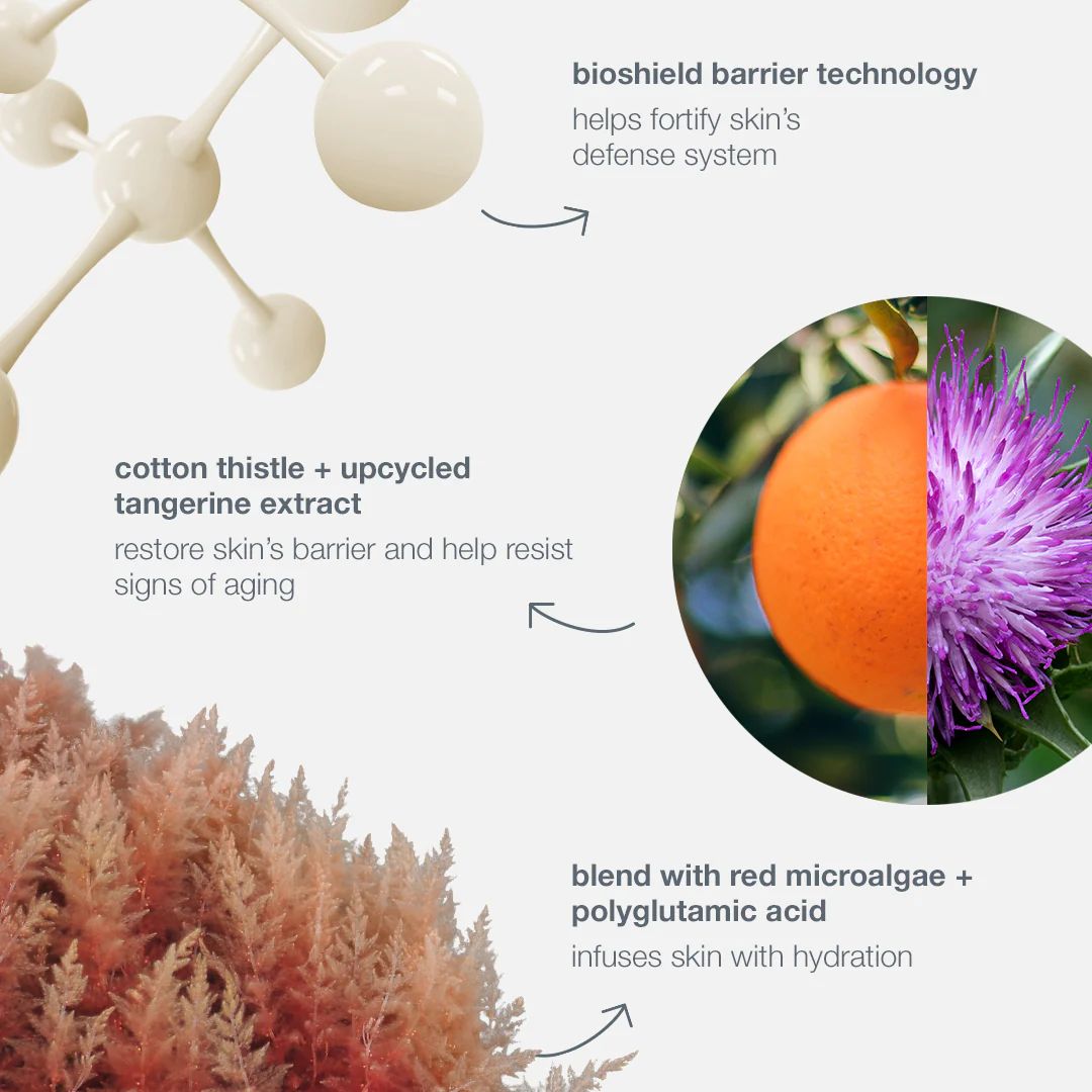 dynamic skin strengthening serum age stronger